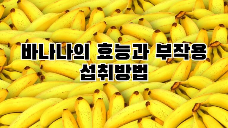 바나나의 효능과 부작용 섭취방법