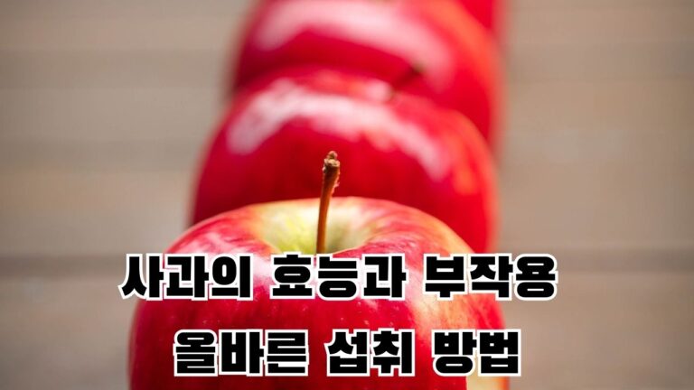 사과의 효능과 부작용 제대로 섭취하는 방법 알아보기