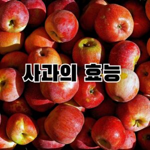 사과의 효능