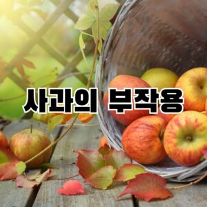 사과의 부작용