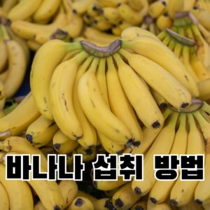 바나나 섭취 방법