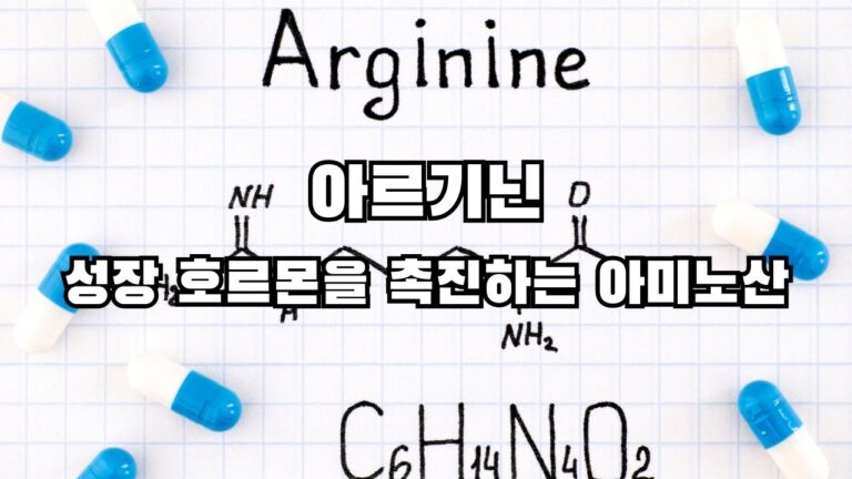 아르기닌 성장호르몬을 촉진시키는 아미노산