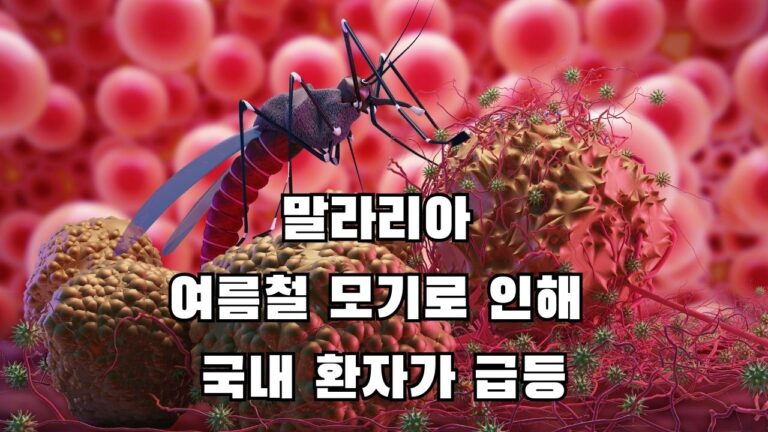 말라리아 여름철 모기로 인해 국내 환자가 급등