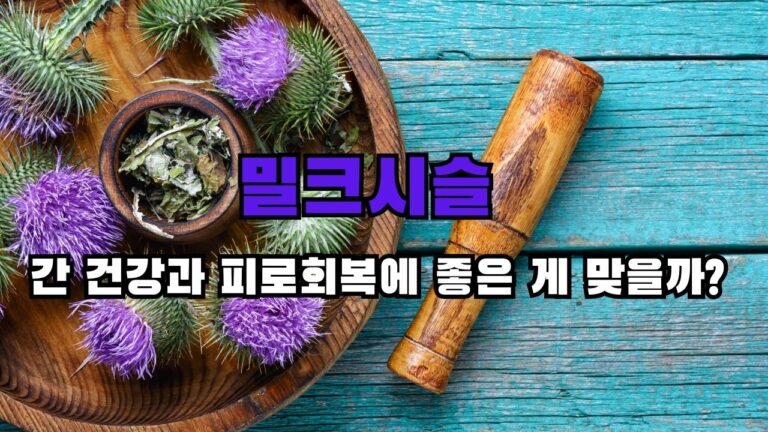 밀크시슬 간 건강과 피로회복에 좋은 게 맞을까?