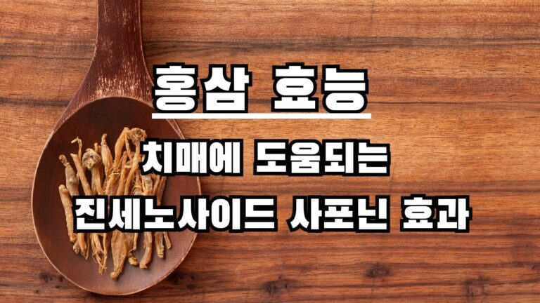 홍삼 효능 치매에 도움되는 진세노사이드 사포닌 효과