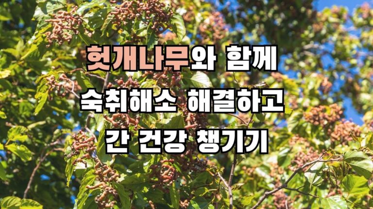 헛개나무와 함께 숙취해소 해결하고 간 건강 챙기기