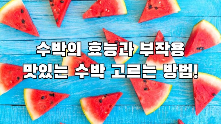 수박의 효능과 부작용 맛있는 수박 고르는 방법!