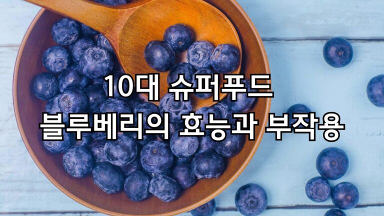 10대 슈퍼푸드 블루베리의 효능과 부작용