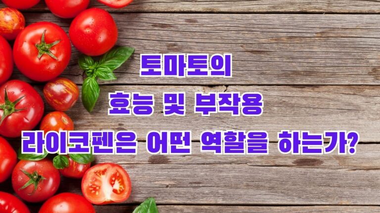 토마토의 효능 및 부작용 라이코펜은 어떤 역할을 하는가?