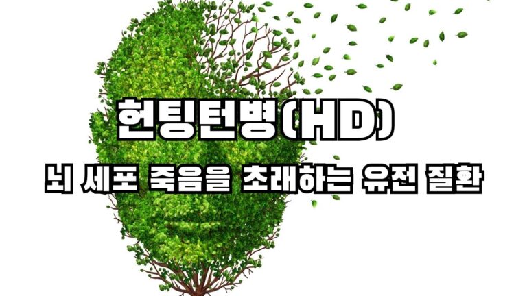 헌팅턴병(HD) 뇌 세포 죽음을 초래하는 유전 질환