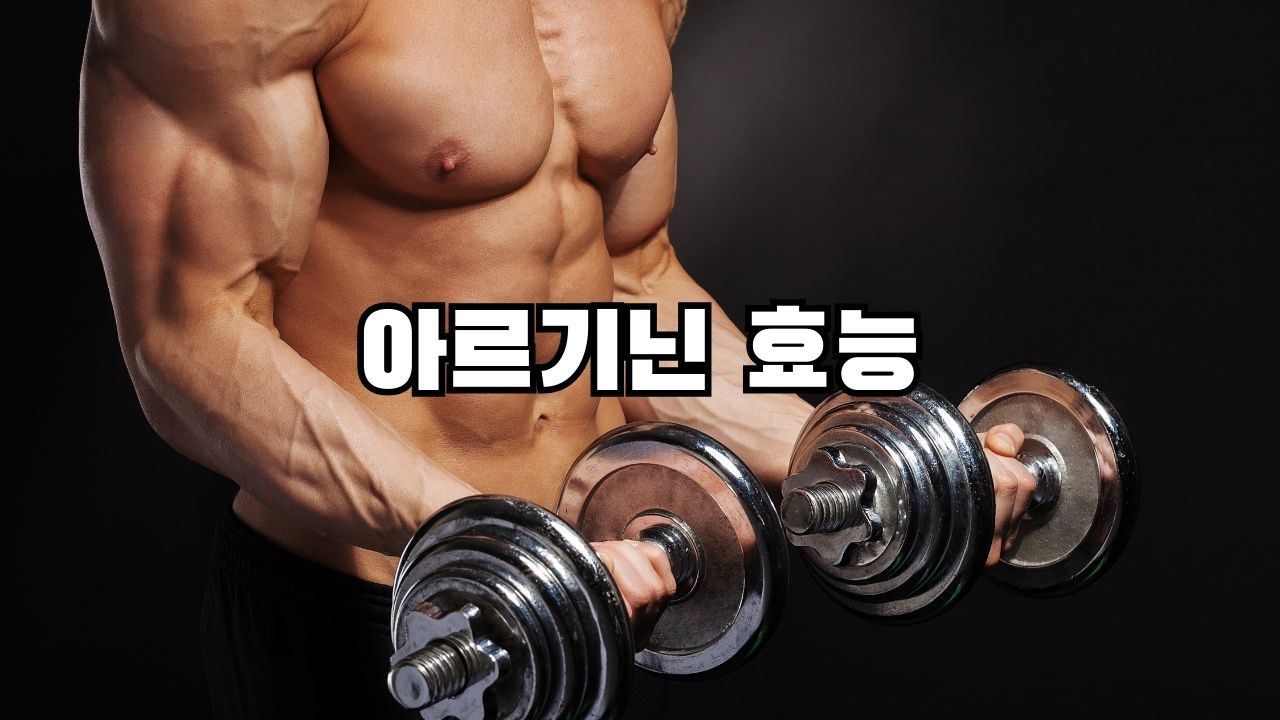 아르기닌 효능