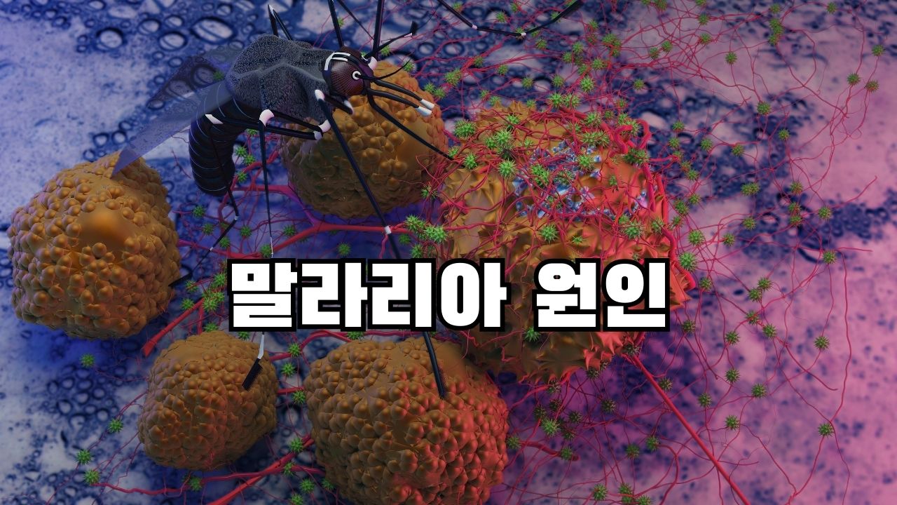 말라리아 원인