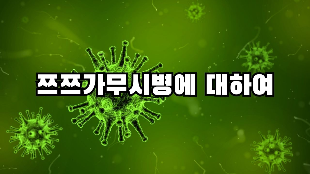 쯔쯔가무시병에 대하여