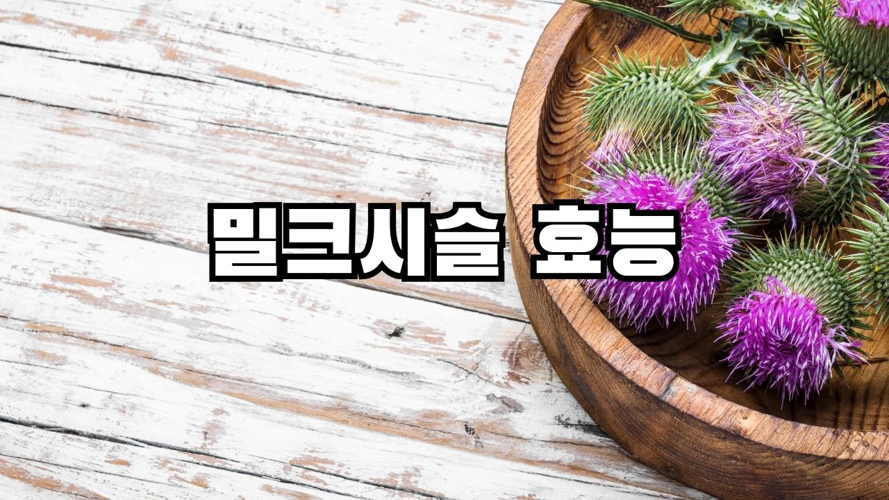 밀크시슬 효능