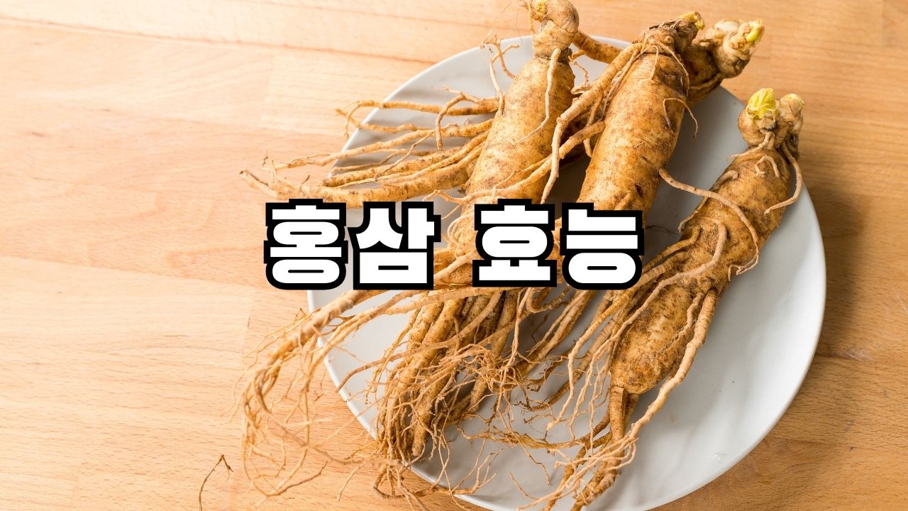 홍삼 효능