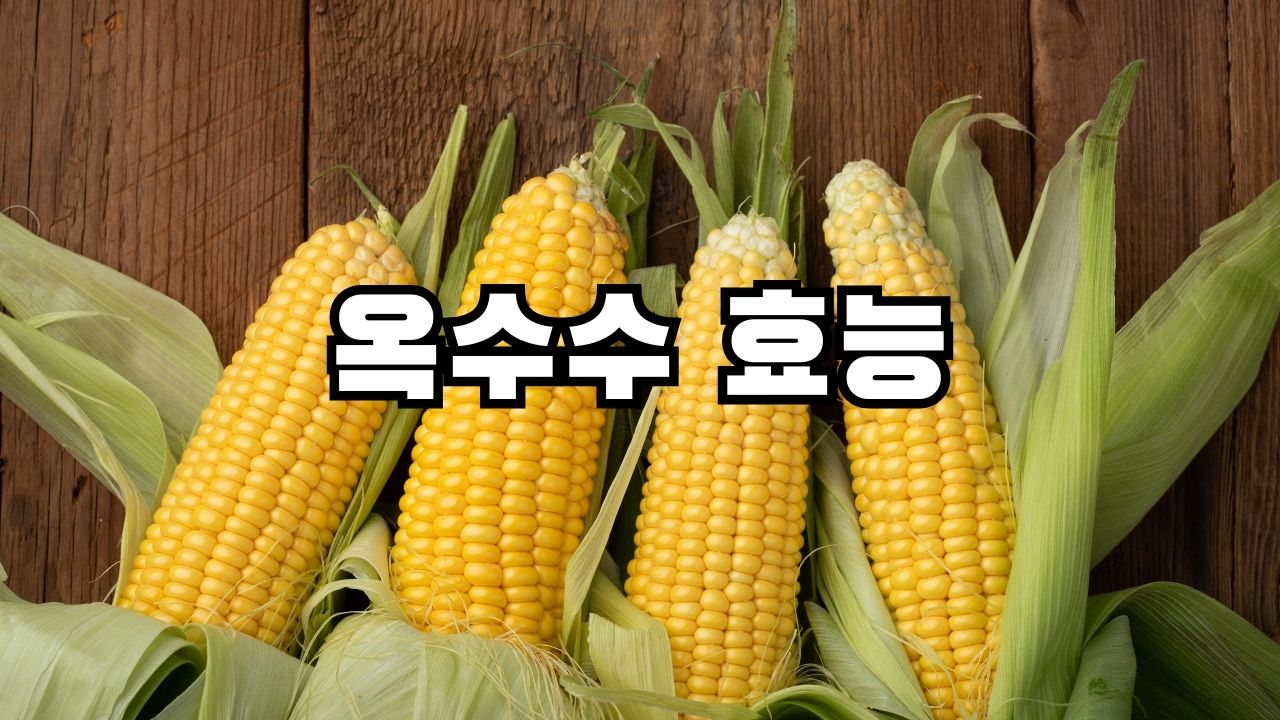 옥수수 효능