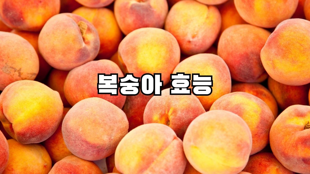 복숭아 효능