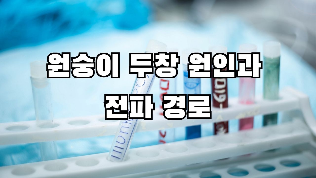 원숭이 두창 원인과 전파 경로