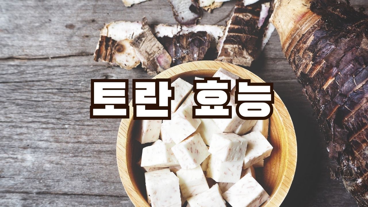 토란 효능