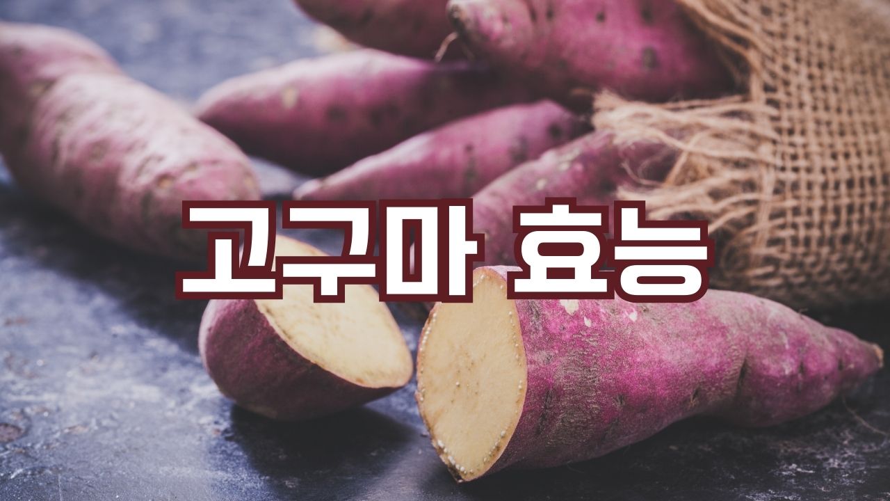 고구마 효능