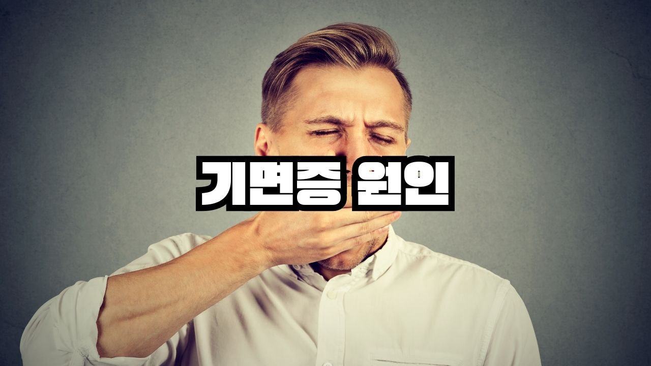 기면증 원인