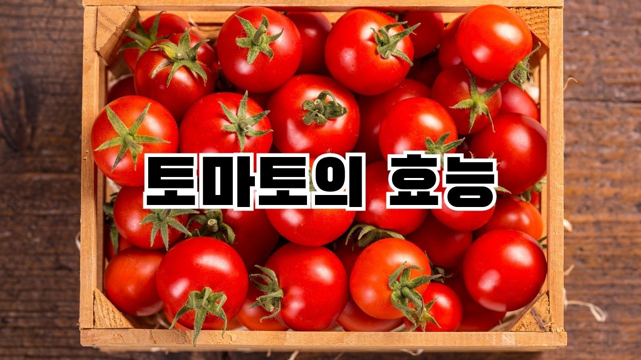 토마토의 효능