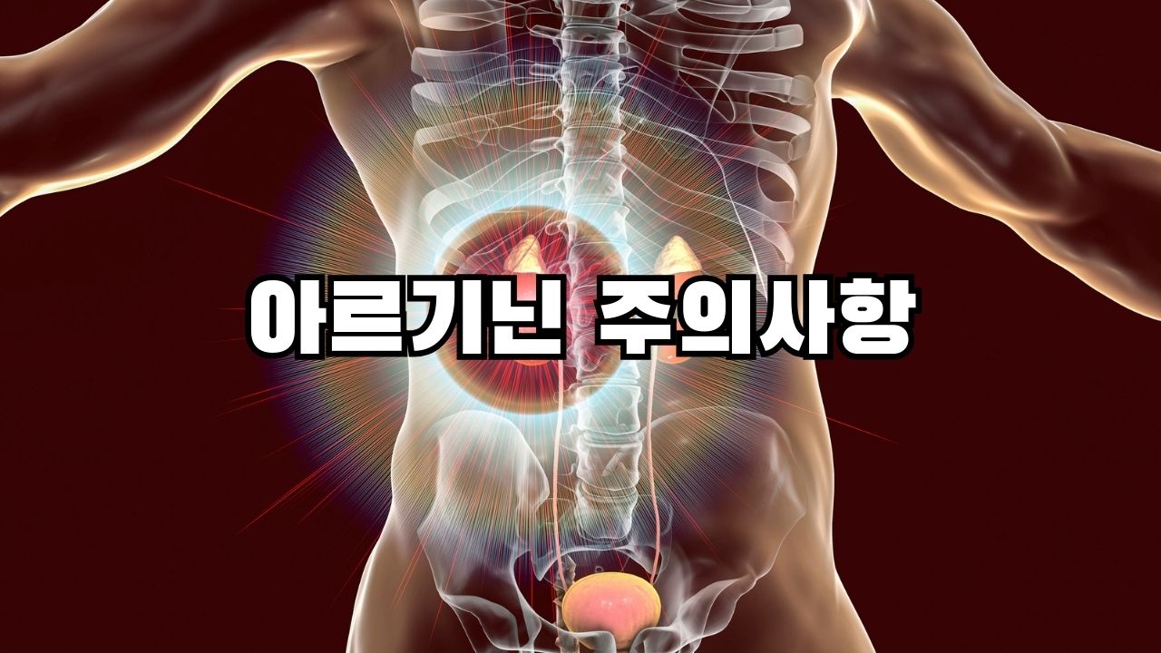 아르기닌 주의사항