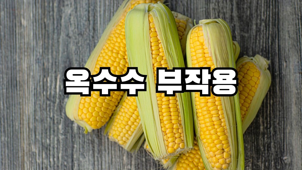 옥수수 부작용