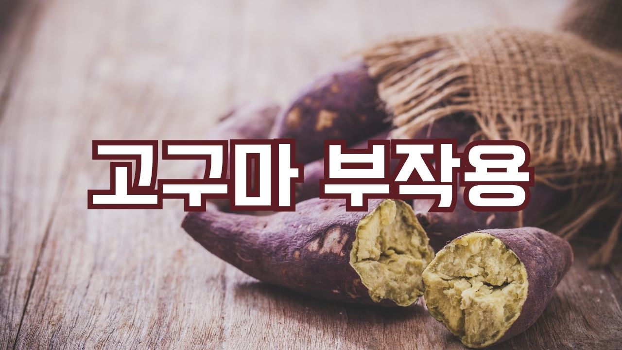 고구마 부작용