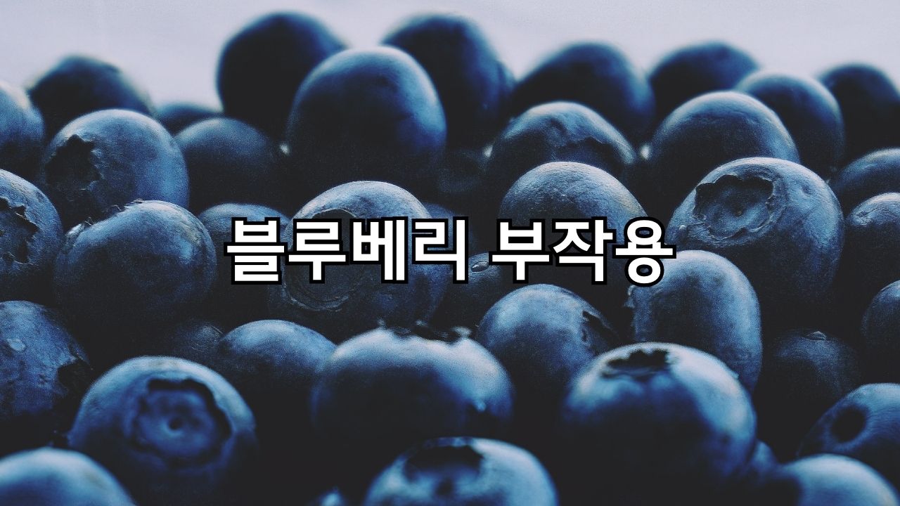 블루베리 부작용