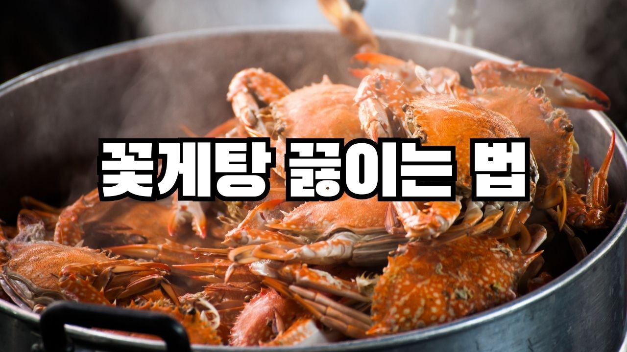 꽃게탕 끓이는 법