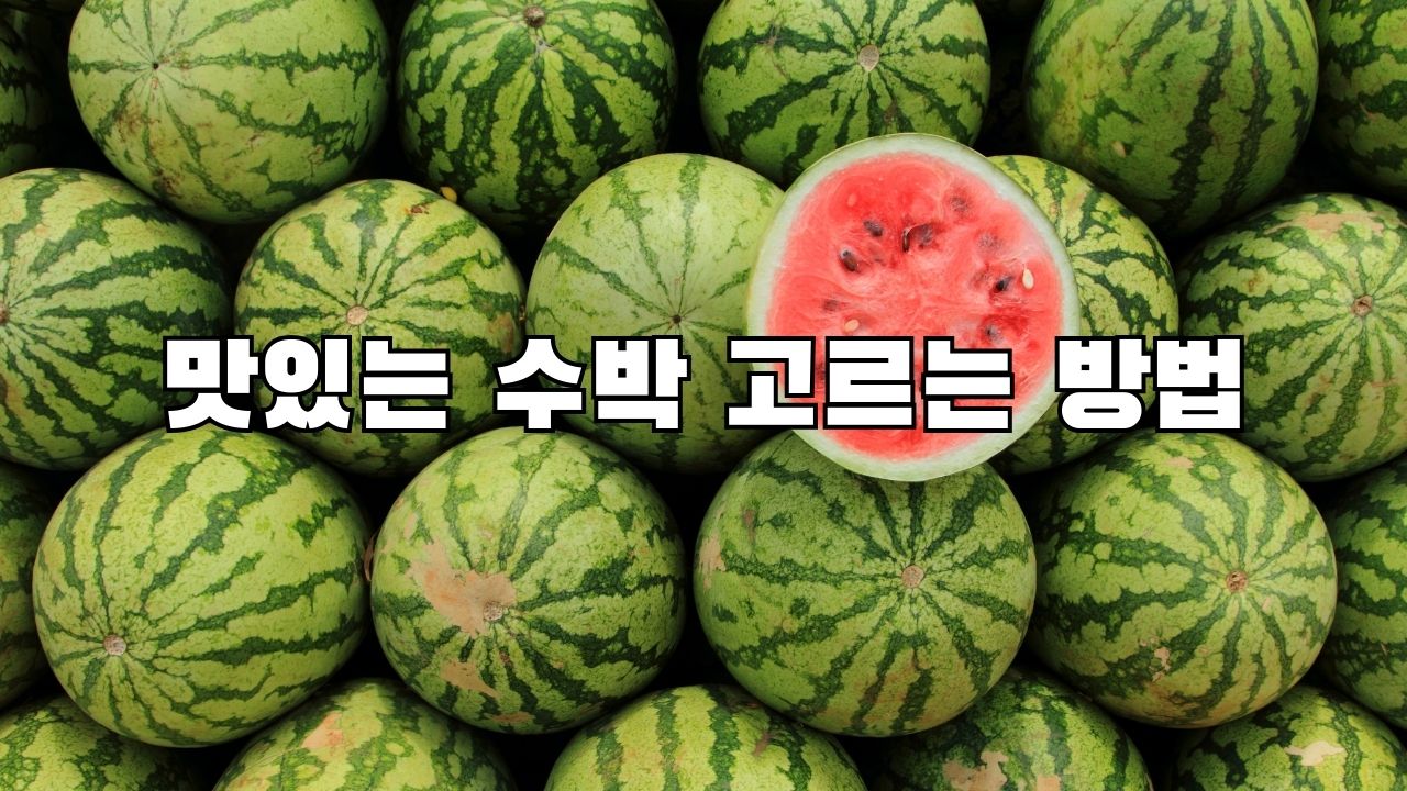 맛있는 수박 고르는 방법