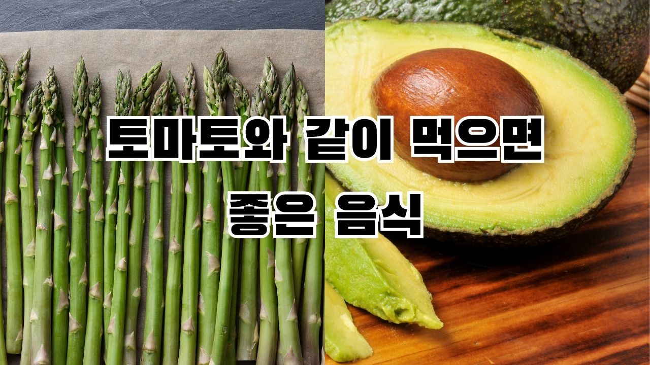 토마토와 같이 먹으면 좋은 음식