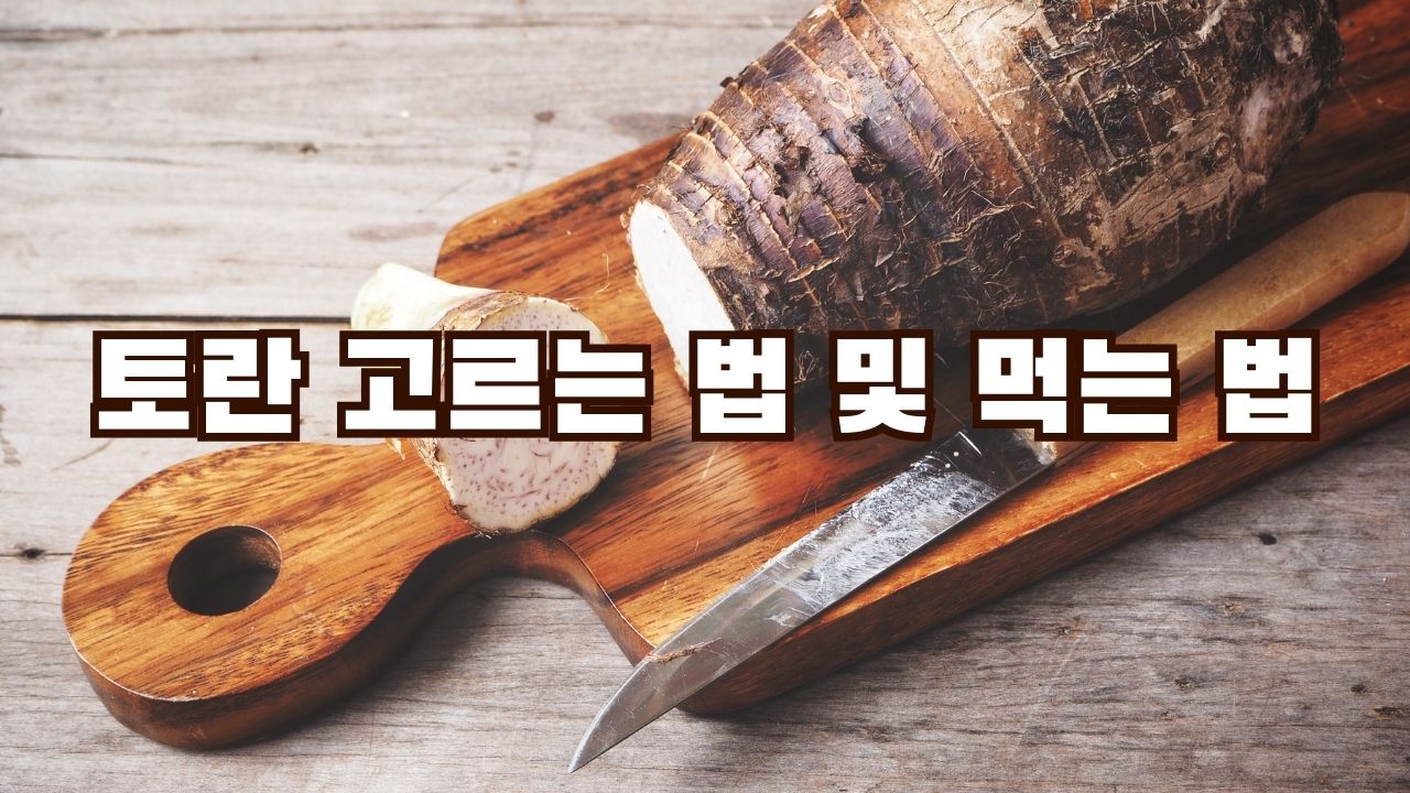 토란 고르는 법 및 먹는 법